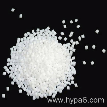 Bright nylon 6 particles